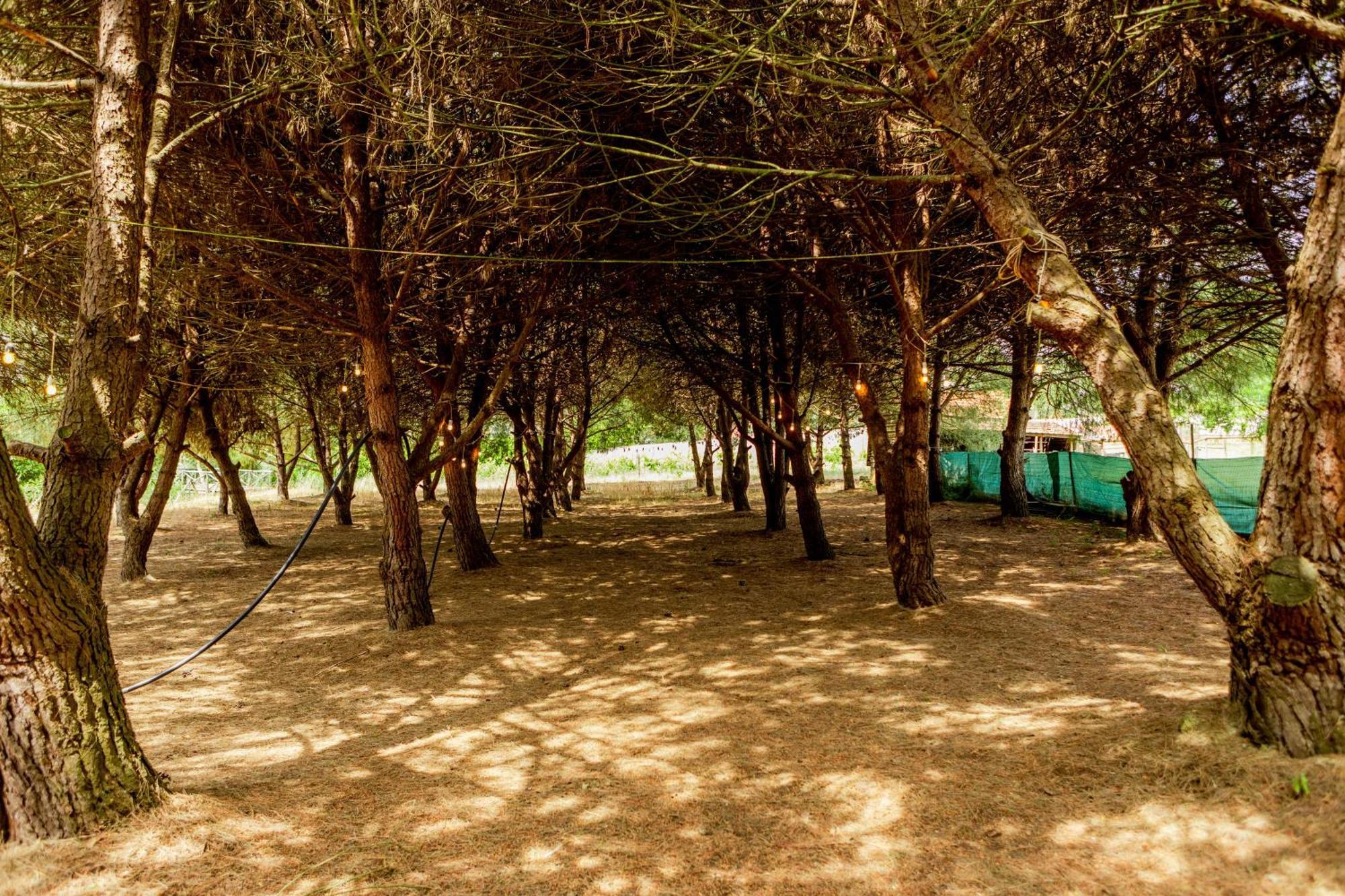 Villa Quinta O Refugio Azambuja Esterno foto