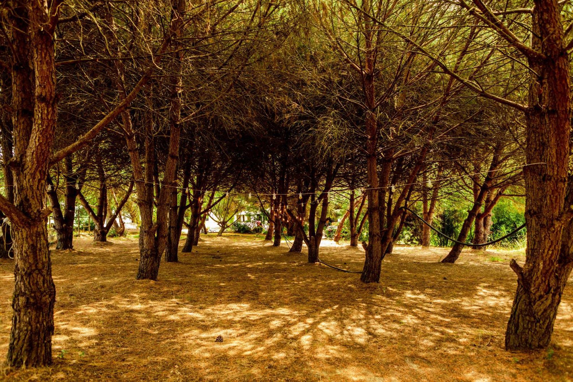 Villa Quinta O Refugio Azambuja Esterno foto