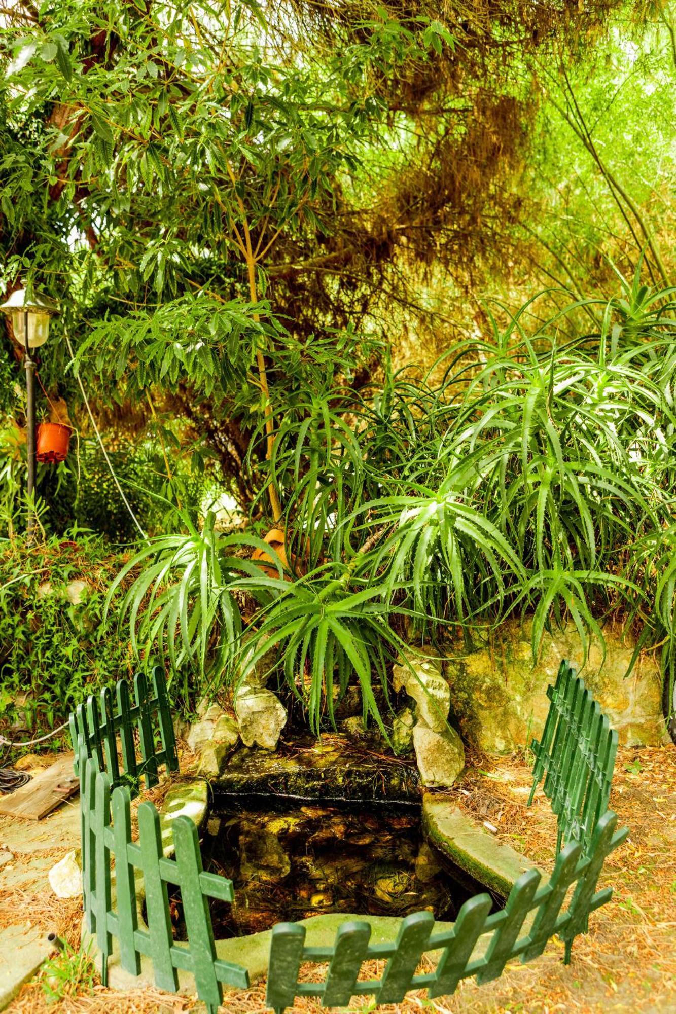 Villa Quinta O Refugio Azambuja Esterno foto