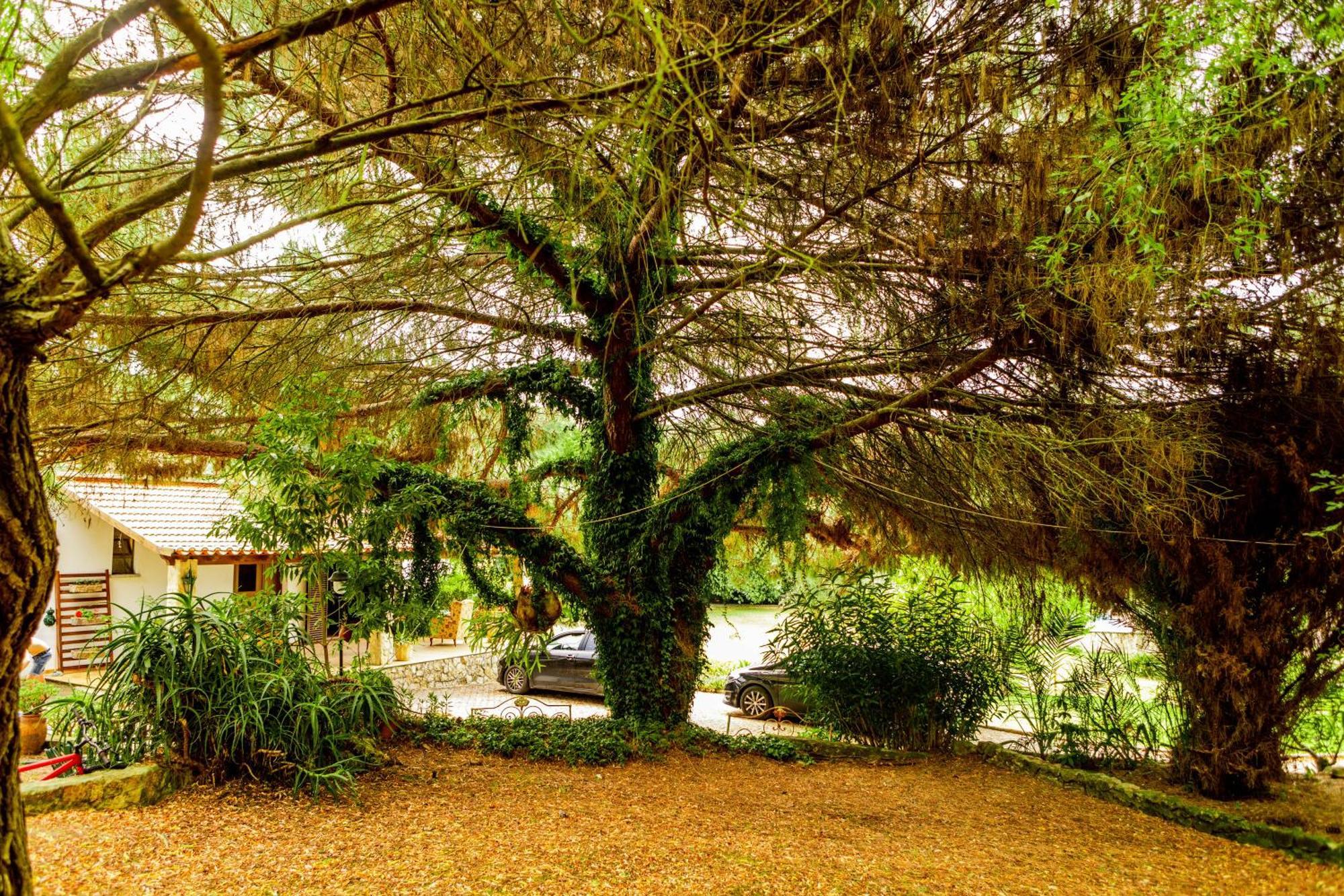 Villa Quinta O Refugio Azambuja Esterno foto